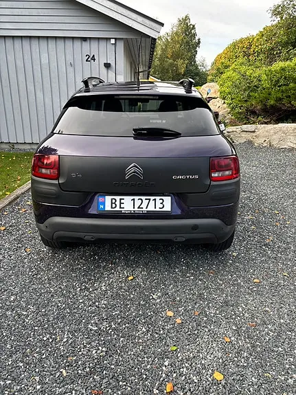 Citroen C4 Cactus 2015 photo 5