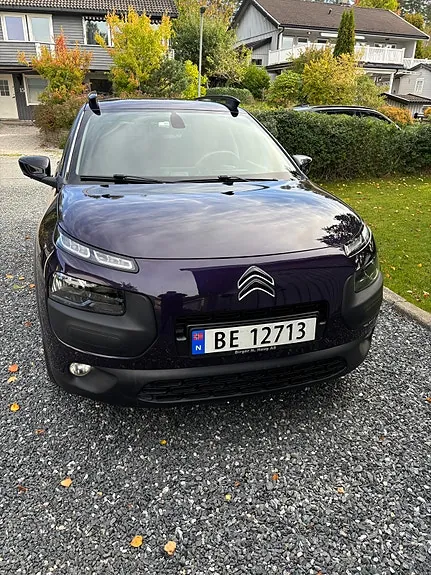 Citroen C4 Cactus 2015 photo 2