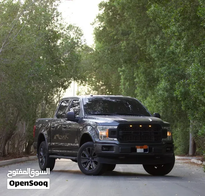 Ford F-150 2019 photo 5