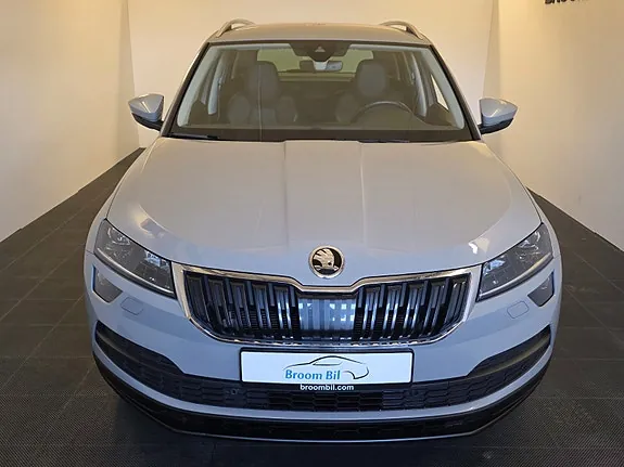 Skoda Karoq 2019 photo 2