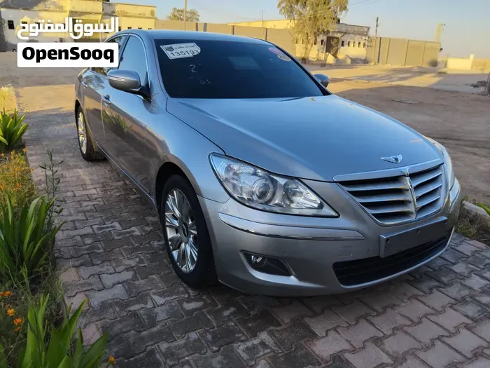 Genesis Sonata 2010 photo 5