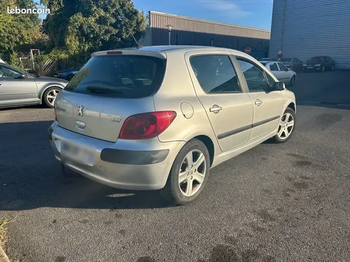 Peugeot 307 2004 photo 2