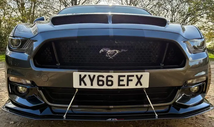 Ford Mustang 2016 photo 2