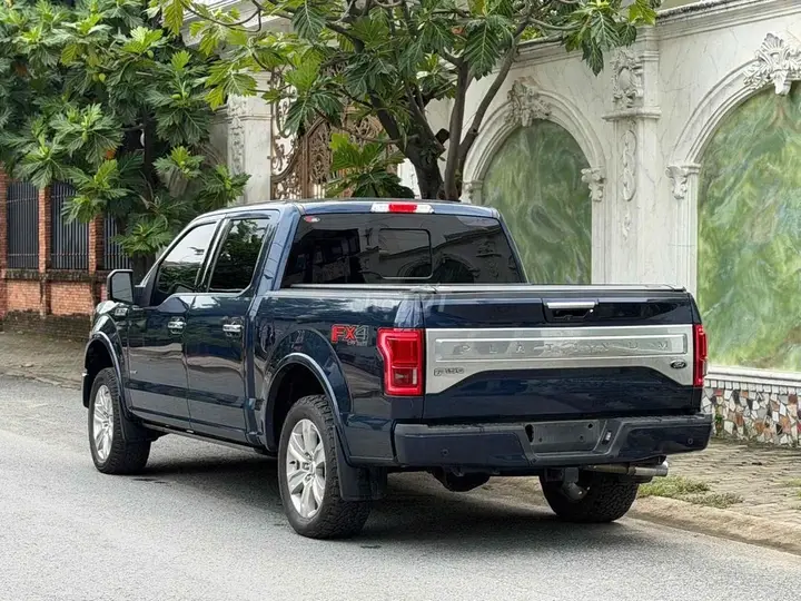 Ford F-150 2015 photo 5