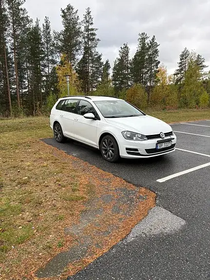 Volkswagen Golf 7 2017 photo 2