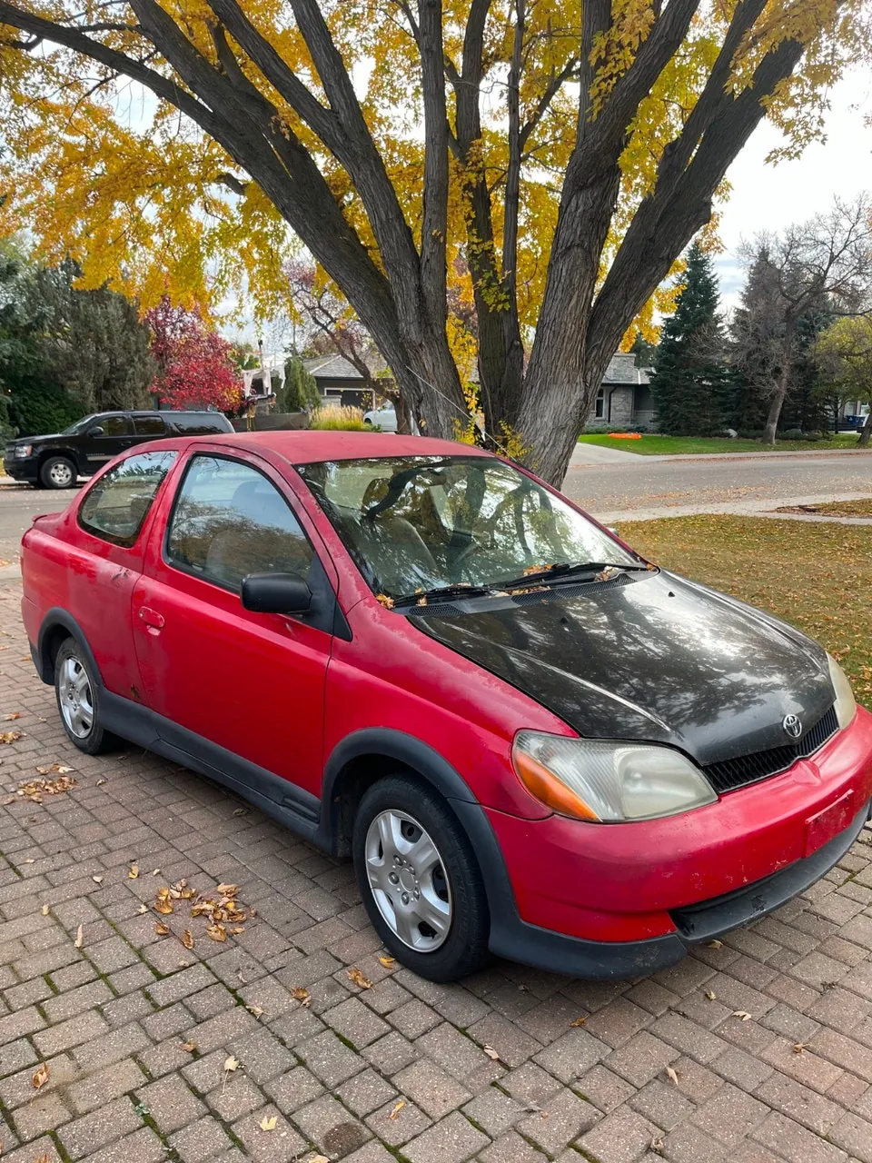 Toyota Echo 2000 photo 3