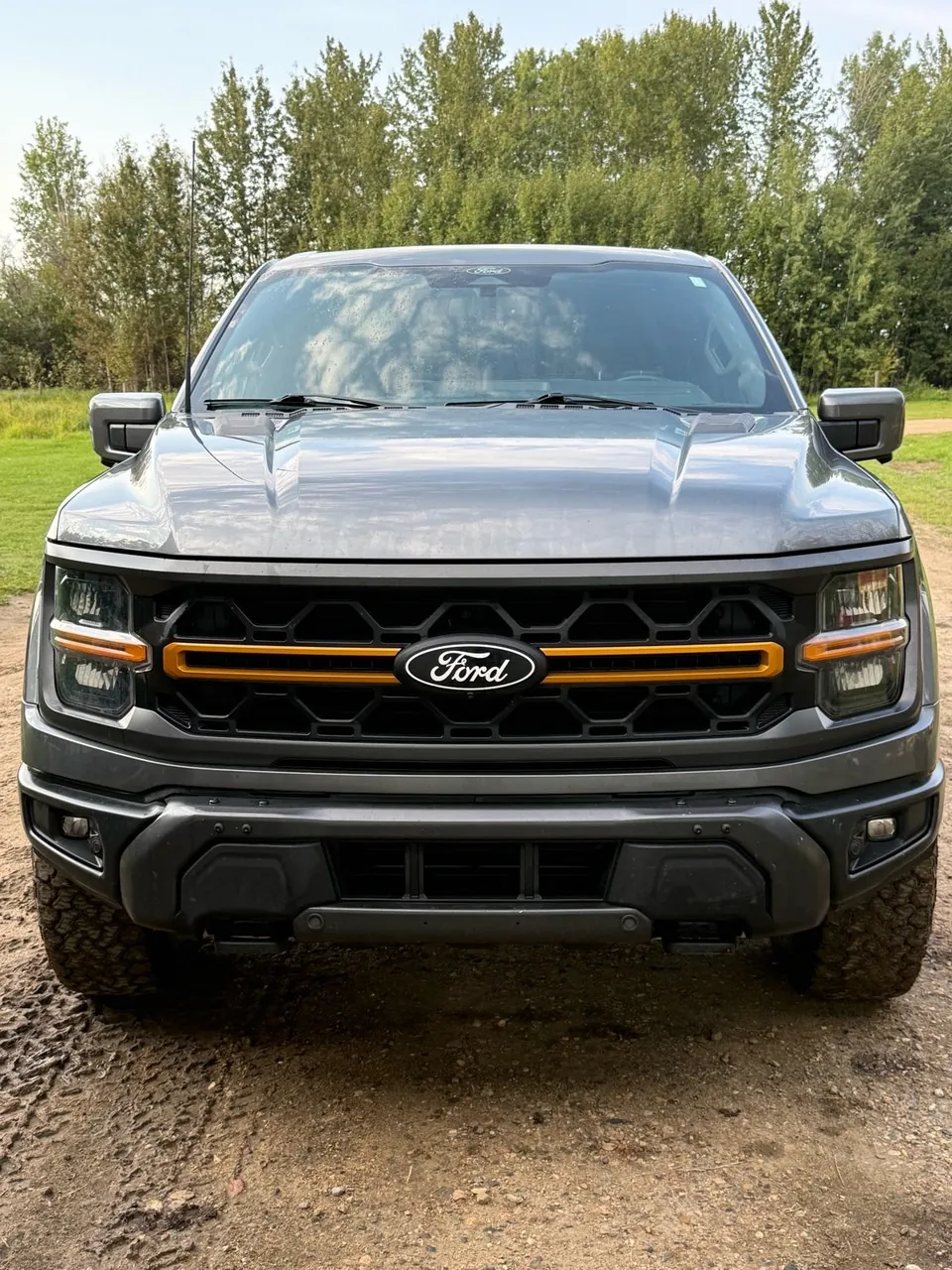 Ford F-150 2024 photo 2
