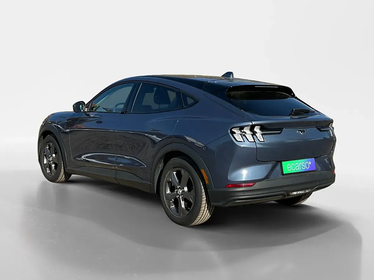 Ford Mustang Mach-E 2021 photo 3