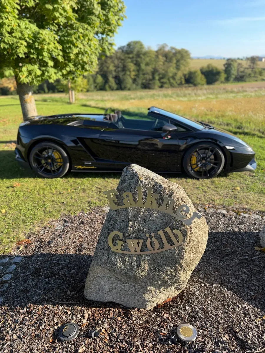 Lamborghini Gallardo 2013 photo 3