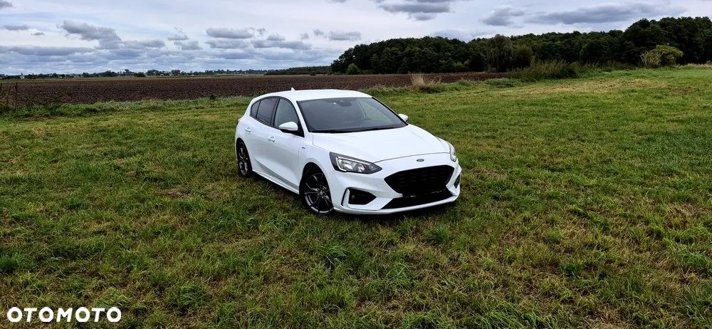 Ford Focus 2019 photo 2