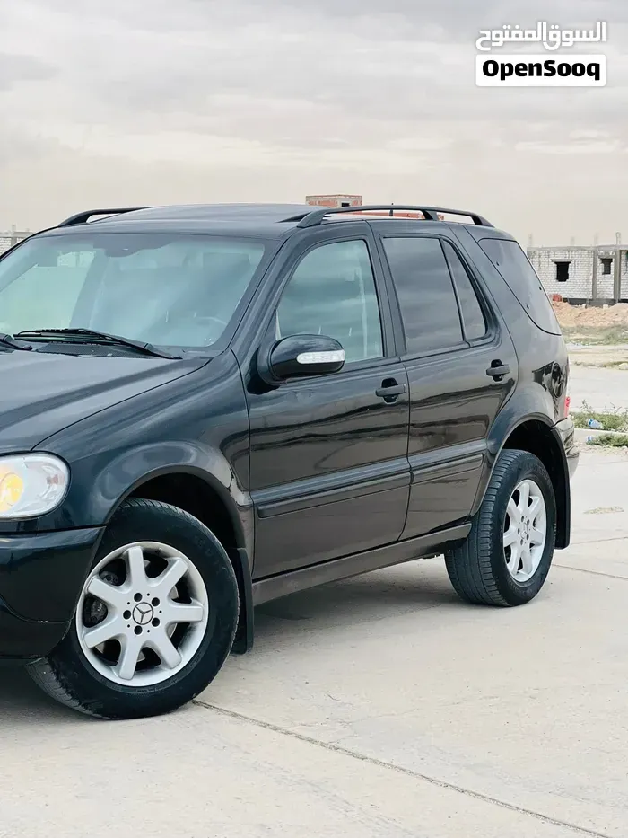 Mercedes-Benz M-Class 2005 photo 3