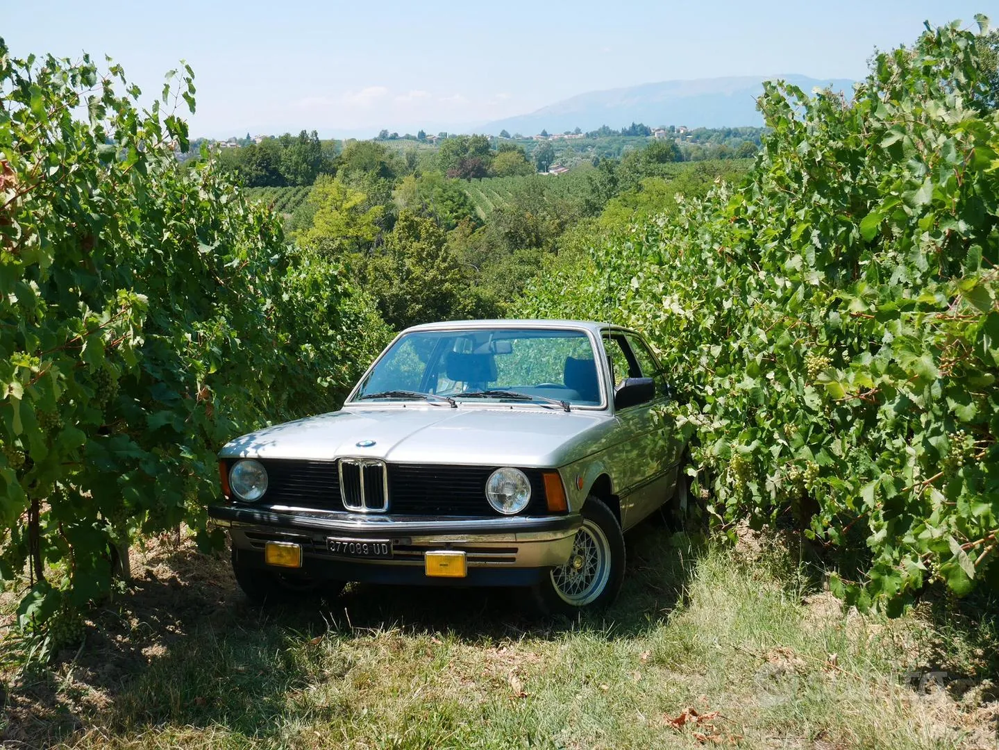 BMW E21 1979 photo 5