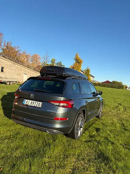 Skoda Kodiaq 2019 photo 3