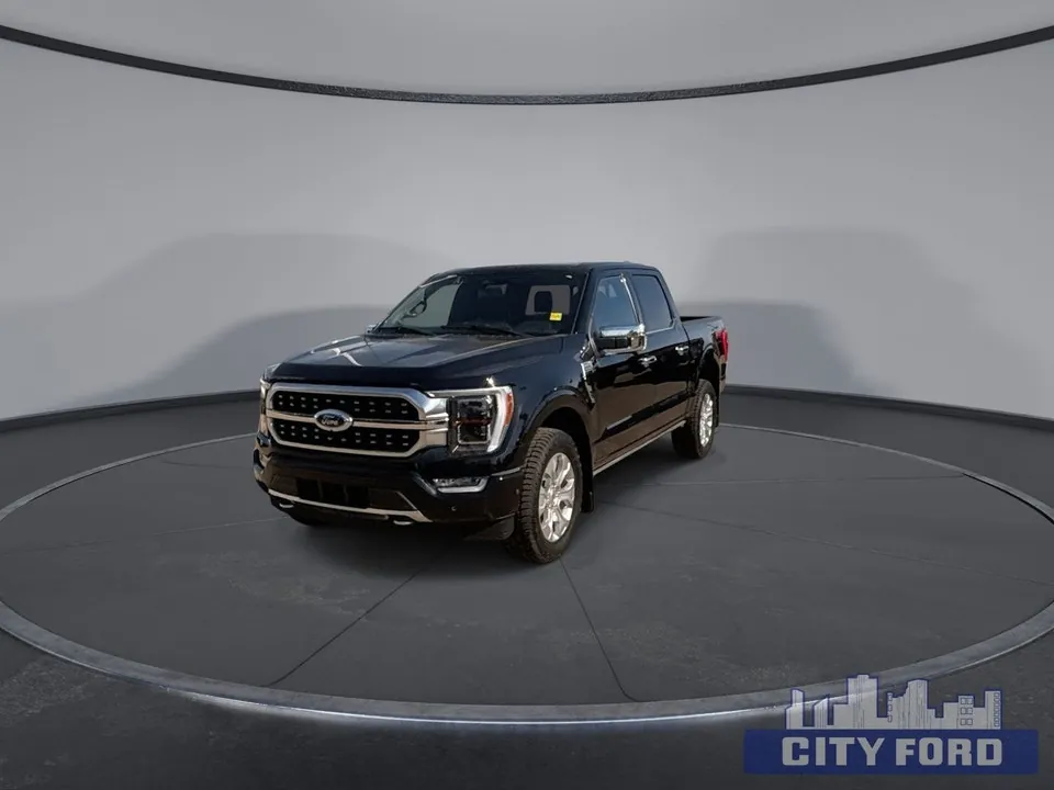 Ford F-150 2023 photo 4