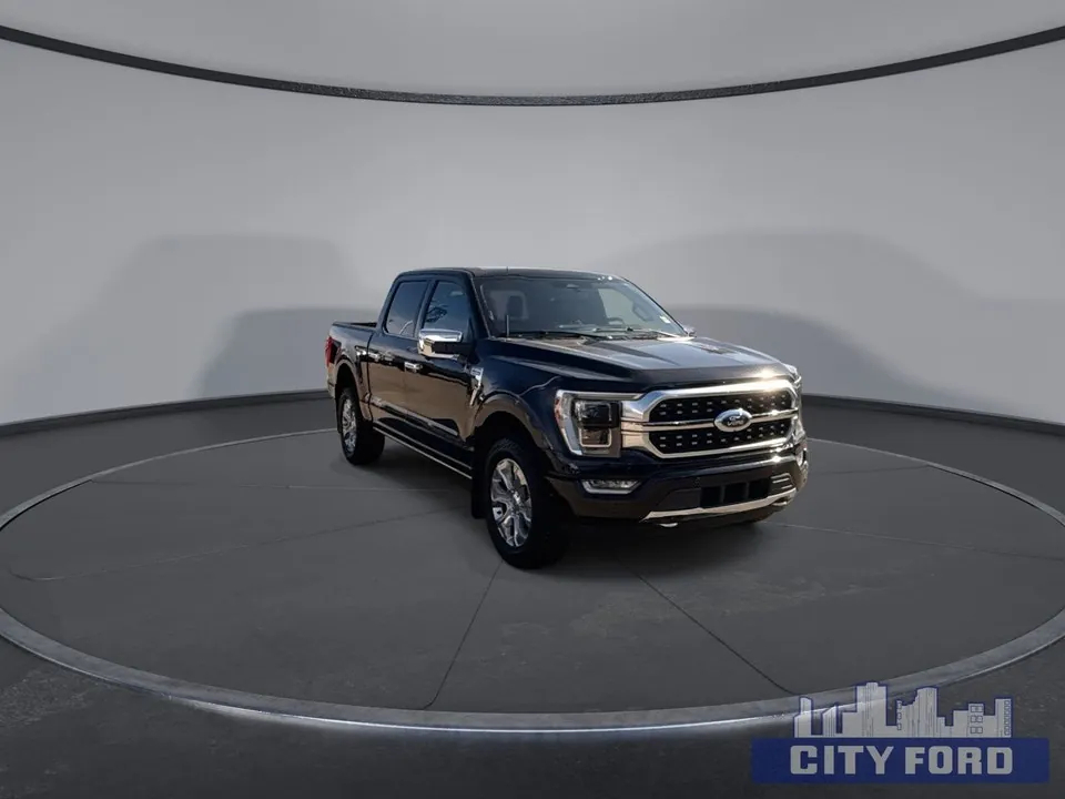 Ford F-150 2023 photo 2