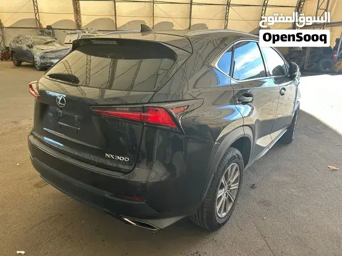 Lexus Nx 2019 photo 4