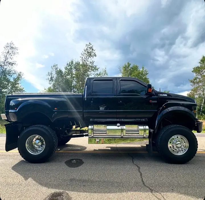 Ford F-650 2008 photo 5