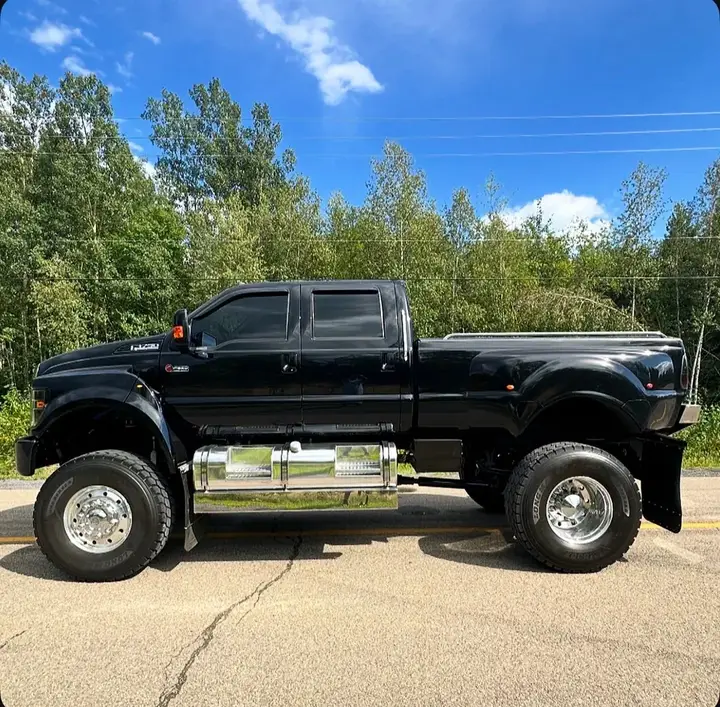 Ford F-650 2008 photo 4