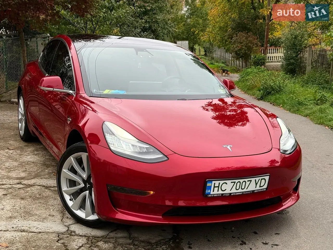 Tesla Model 3 2019 photo 2