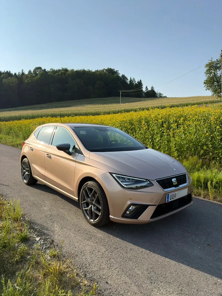 Seat Ibiza 2017 photo 2
