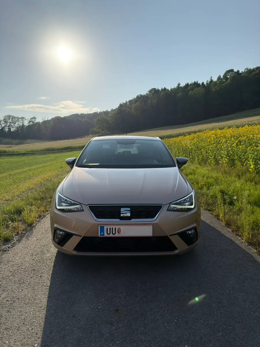 Seat Ibiza 2017 photo 3