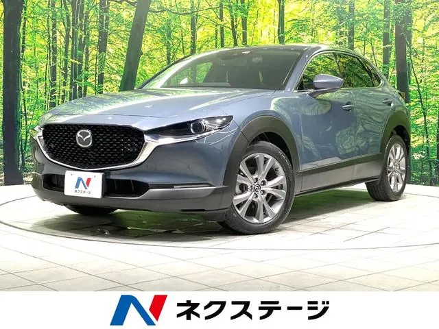 Mitsubishi Cx-30