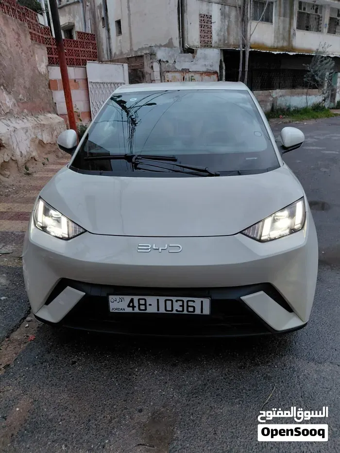 BYD Seagull
