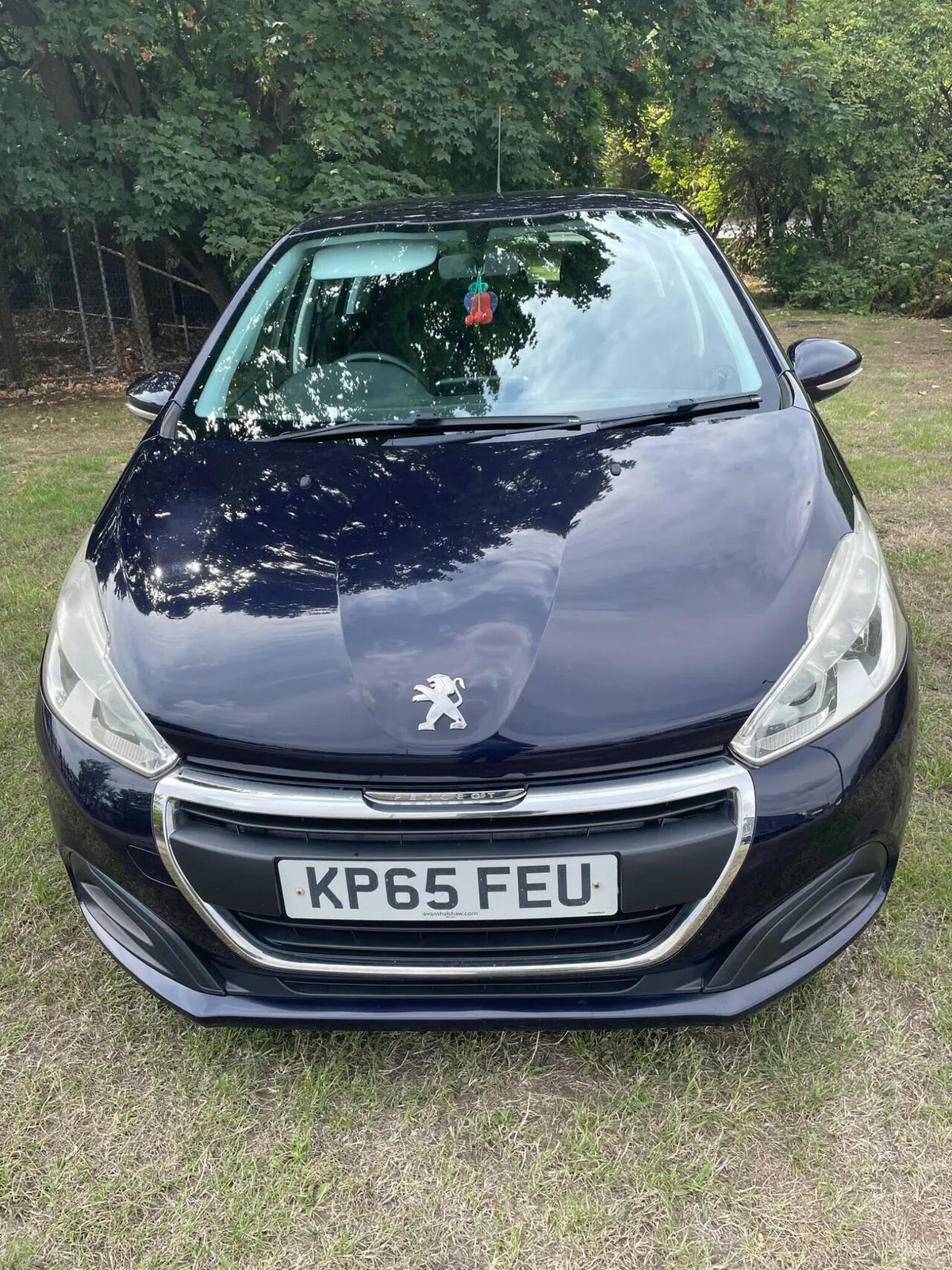 Peugeot 208 2015 photo 5