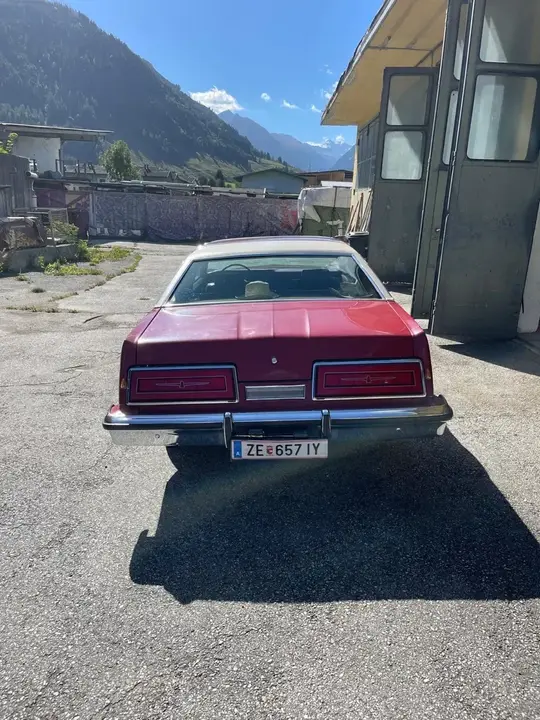 Ford Thunderbird 1979 photo 3