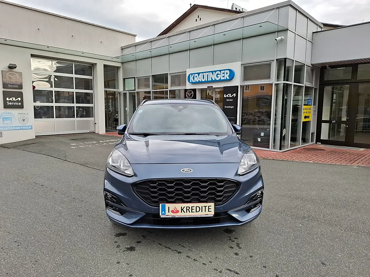 Ford Kuga 2021 photo 2
