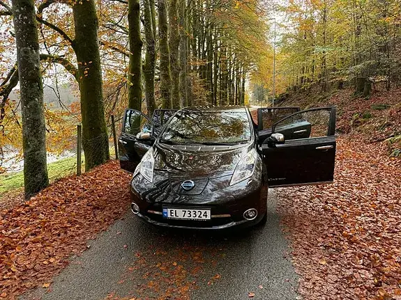 Nissan Leaf 2015 photo 4