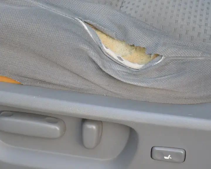 Toyota Tundra 2008 photo 3