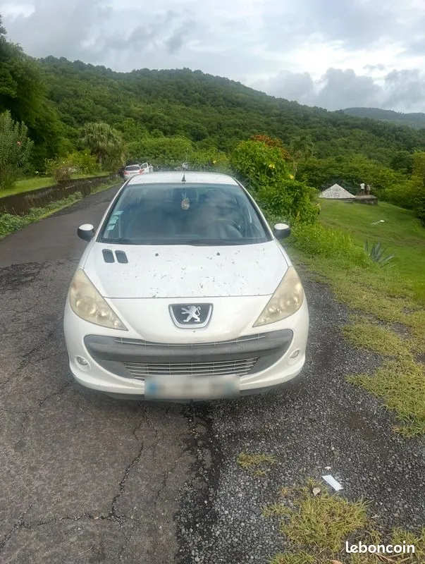 Peugeot 206 2011 photo 2