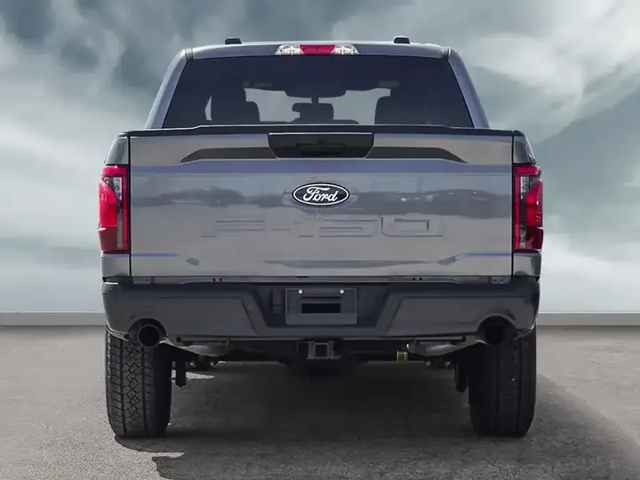 Ford F-150 2025 photo 5