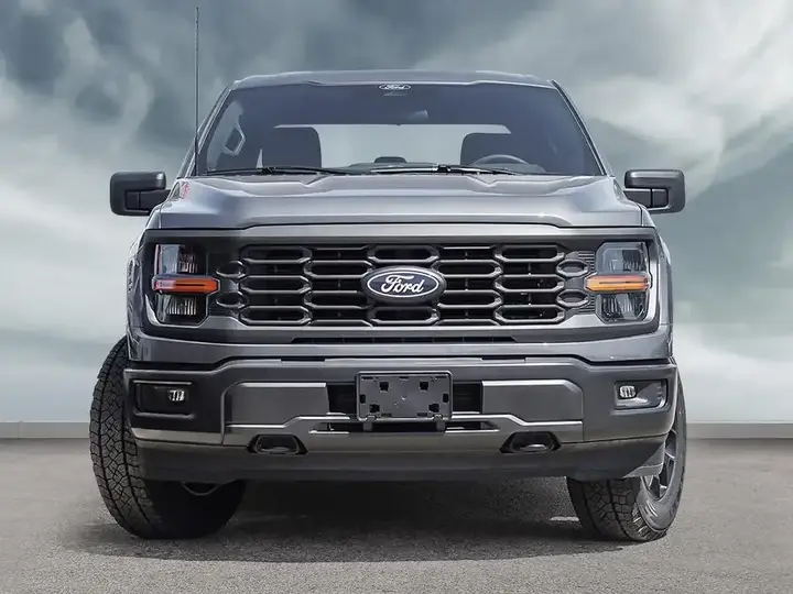 Ford F-150 2025 photo 2
