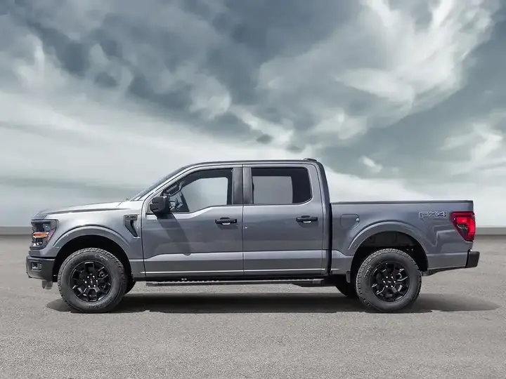 Ford F-150 2025 photo 3