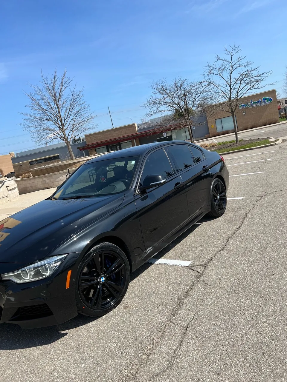 BMW 3 Series 2016 photo 4