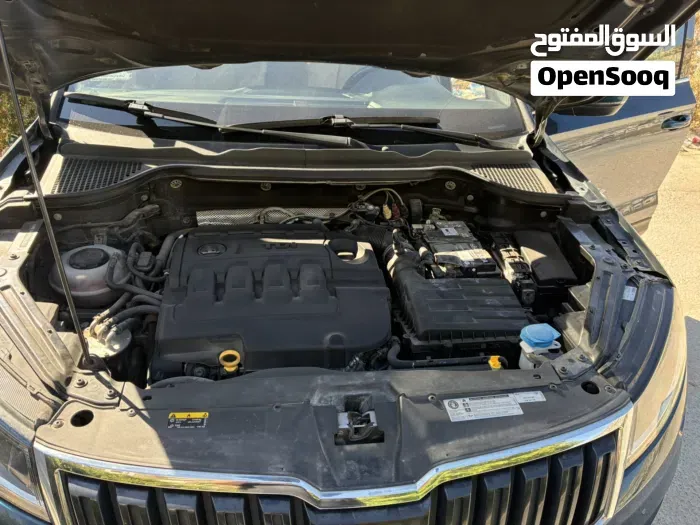 Skoda Karoq 2019 photo 3