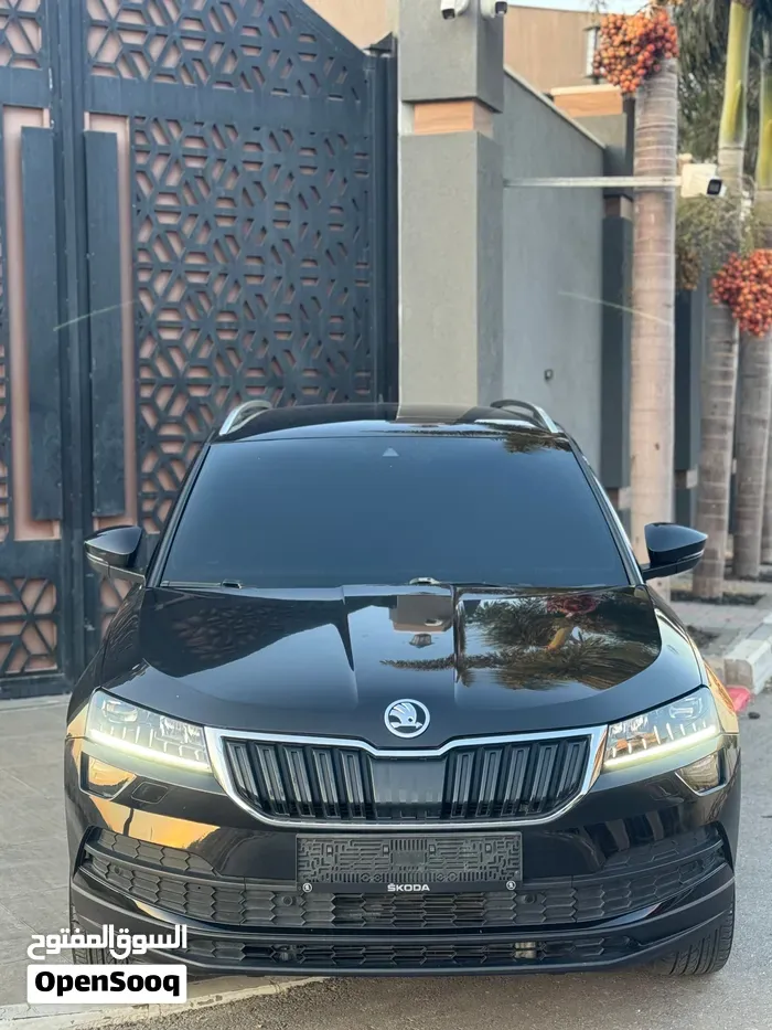 Skoda Karoq 2019 photo 5
