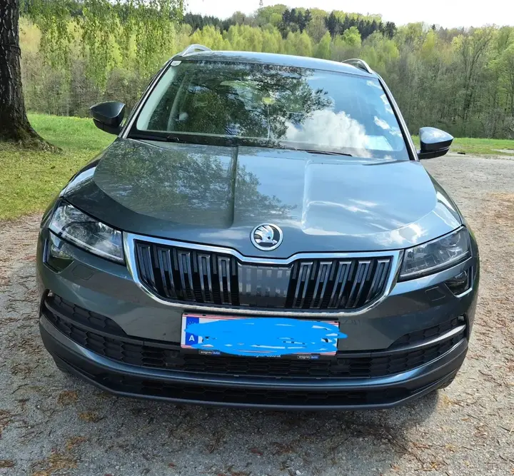Skoda Karoq 2020 photo 2