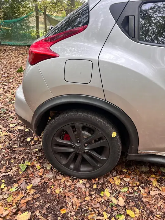 Nissan Juke 2010 photo 3