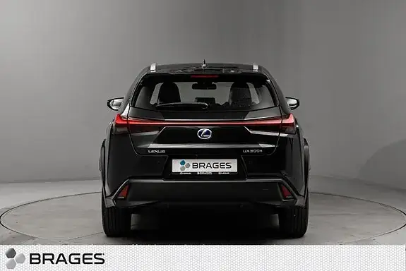 Lexus Ux300E 2021 photo 3