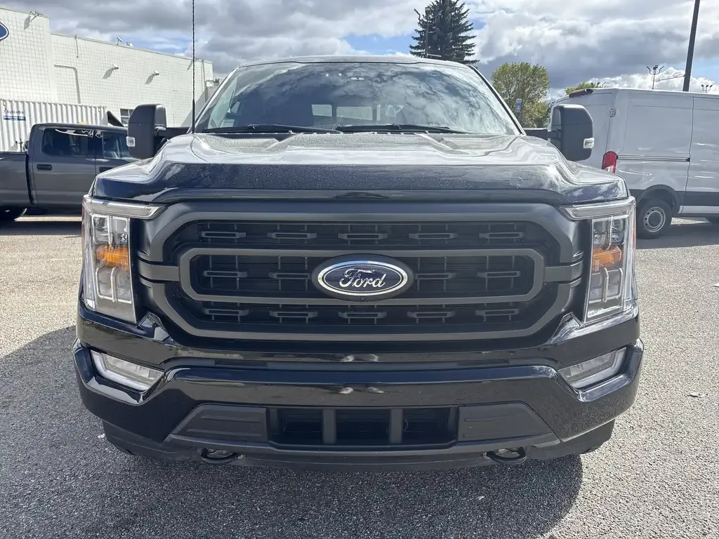 Ford F-150 2023 photo 4