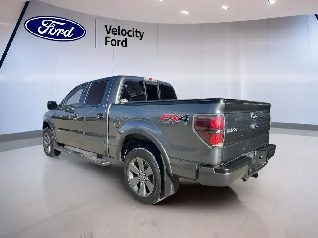 Ford F-150 2014 photo 4