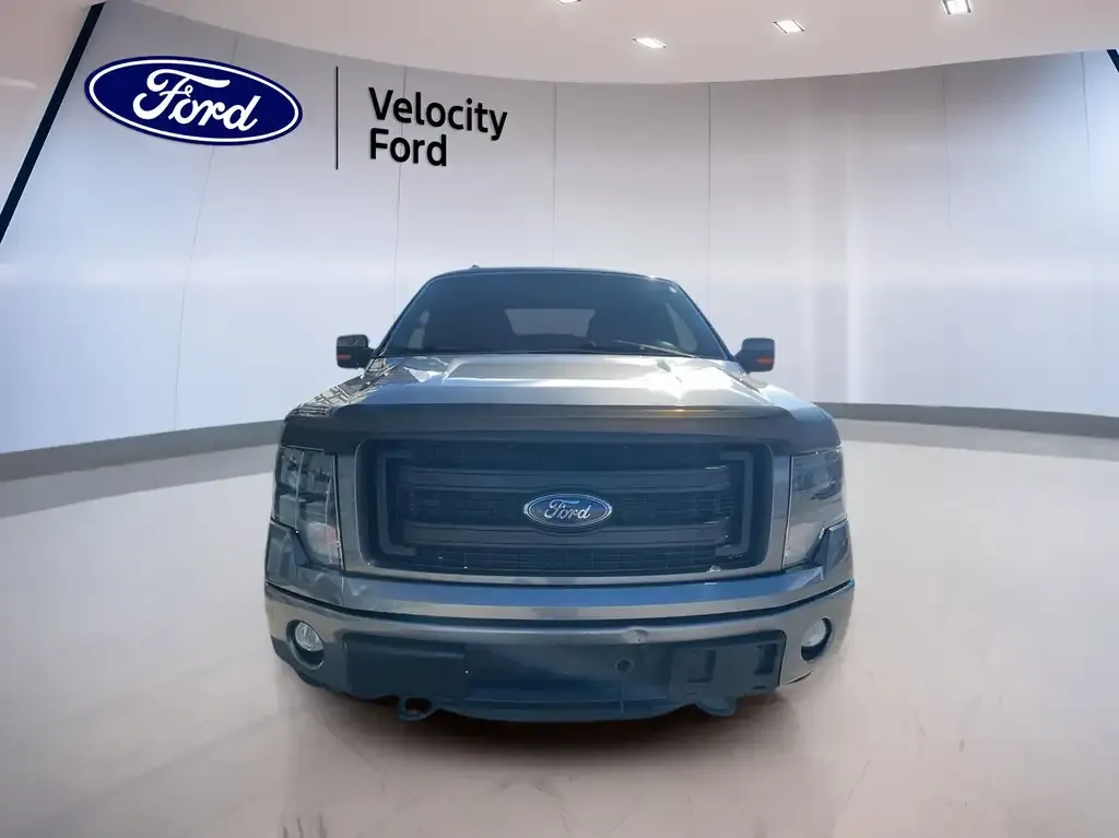 Ford F-150 2014 photo 2