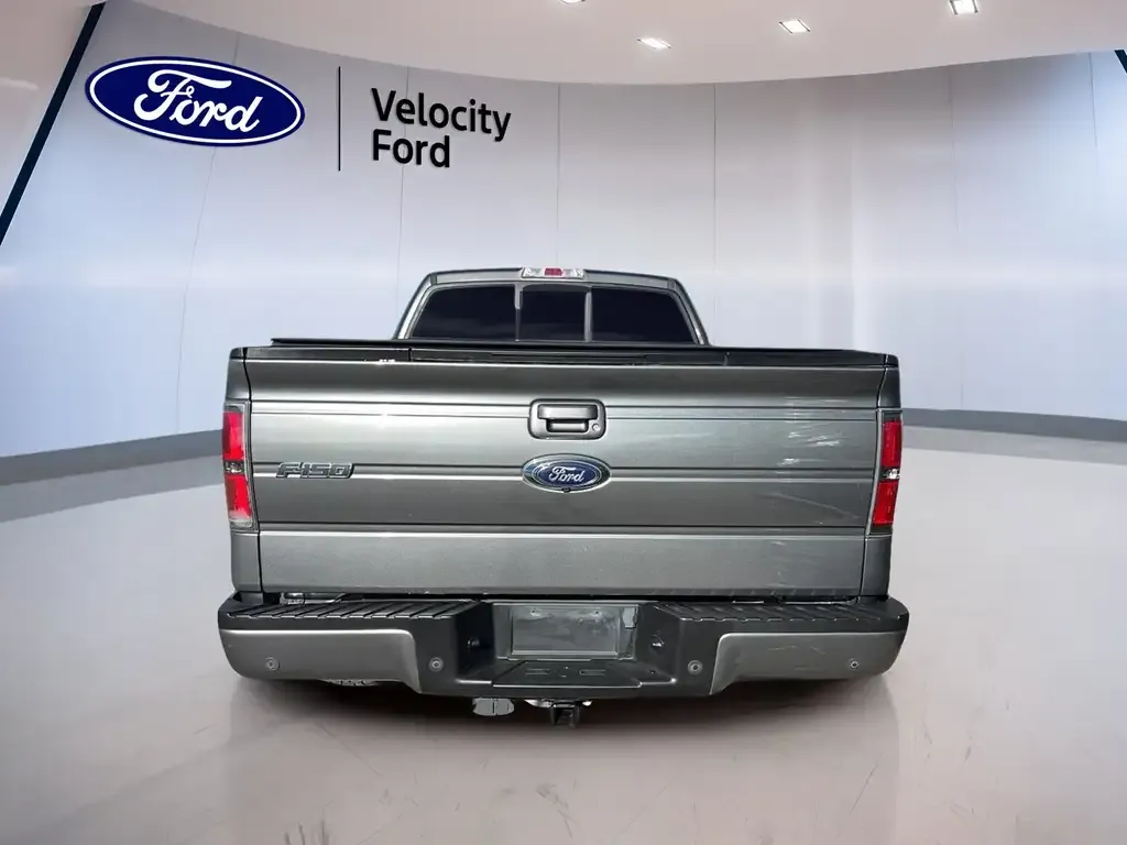 Ford F-150 2014 photo 3