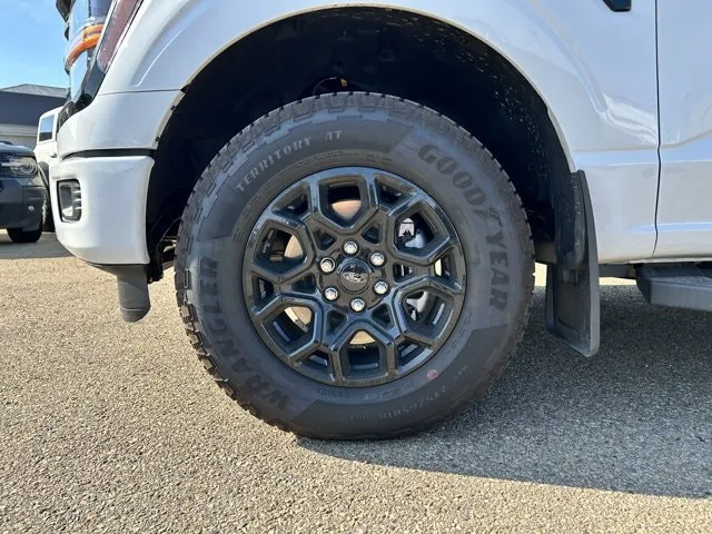 Ford F-150 2026 photo 3