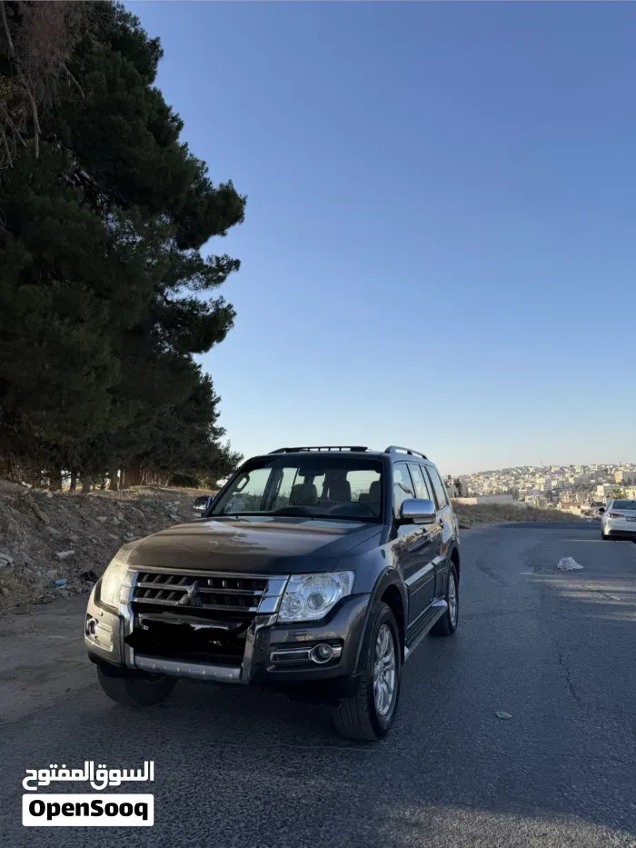Mitsubishi Pajero 2017 photo 3