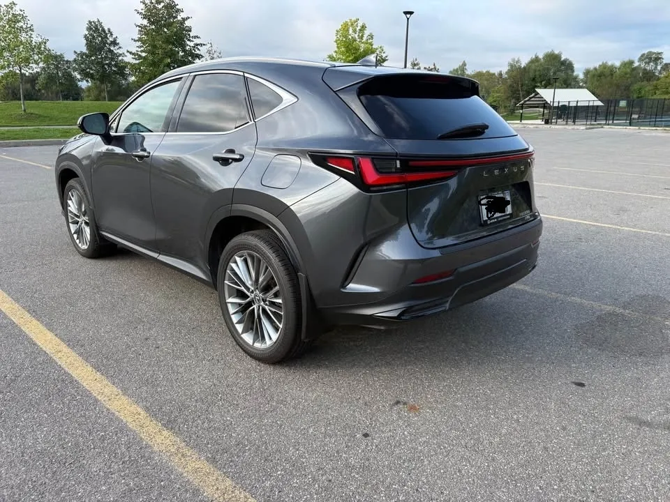 Lexus Nx 350 2022 photo 3