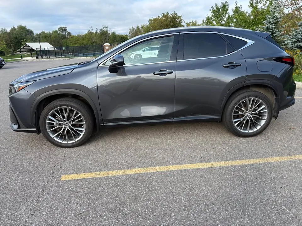 Lexus Nx 350 2022 photo 2